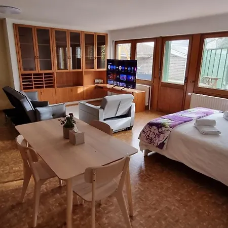 Large With Garden Apartment *